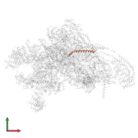 Small ribosomal subunit protein mS38 in PDB entry 8qrn, assembly 1, front view.