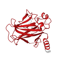 The deposited structure of PDB entry 8qwk contains 1 copy of Pfam domain PF00870 (P53 DNA-binding domain) in Cellular tumor antigen p53. Showing 1 copy in chain A.
