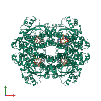 Homo tetrameric assembly 1 of PDB entry 8qxl coloured by chemically distinct molecules, front view.