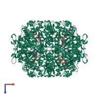 Homo tetrameric assembly 1 of PDB entry 8qxl coloured by chemically distinct molecules, top view.