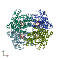 PDB entry 8qxl coloured by chain, front view.