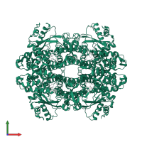 Deoxynucleoside triphosphate triphosphohydrolase SAMHD1 in PDB entry 8qxl, assembly 1, front view.