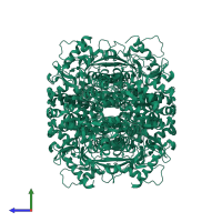 Deoxynucleoside triphosphate triphosphohydrolase SAMHD1 in PDB entry 8qxl, assembly 1, side view.