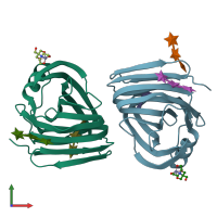 PDB entry 8qy0 coloured by chain, front view.