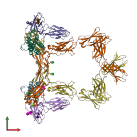 PDB entry 8qy4 coloured by chain, front view.