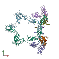 PDB entry 8qy6 coloured by chain, front view.