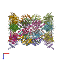 PDB entry 8qyo coloured by chain, top view.