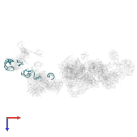 U2 snRNA in PDB entry 8r09, assembly 1, top view.
