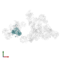 Splicing factor 3B subunit 1 in PDB entry 8r09, assembly 1, front view.