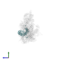 Splicing factor 3B subunit 1 in PDB entry 8r09, assembly 1, side view.