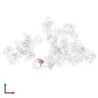 U6 snRNA-associated Sm-like protein LSm3 in PDB entry 8r09, assembly 1, front view.