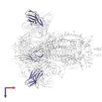 SD1-2 fab light chain in PDB entry 8r1c, assembly 1, top view.