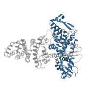 The deposited structure of PDB entry 8r1g contains 2 copies of Pfam domain PF00632 (HECT-domain (ubiquitin-transferase)) in Ubiquitin-protein ligase E3A. Showing 1 copy in chain A.