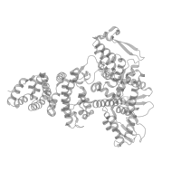 The deposited structure of PDB entry 8r1g contains 2 copies of Pfam domain PF16558 (Amino-terminal Zinc-binding domain of ubiquitin ligase E3A) in Ubiquitin-protein ligase E3A. Showing 1 copy in chain A (this domain is out of the observed residue ranges!).