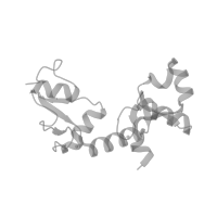 The deposited structure of PDB entry 8r1g contains 2 copies of Pfam domain PF00240 (Ubiquitin family) in Protein E6. Showing 1 copy in chain B (this domain is out of the observed residue ranges!).