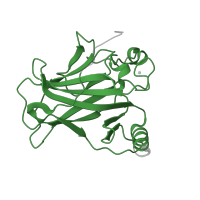 The deposited structure of PDB entry 8r1g contains 2 copies of Pfam domain PF00870 (P53 DNA-binding domain) in Cellular tumor antigen p53. Showing 1 copy in chain C.