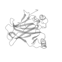 The deposited structure of PDB entry 8r1g contains 2 copies of Pfam domain PF08563 (P53 transactivation motif) in Cellular tumor antigen p53. Showing 1 copy in chain C (this domain is out of the observed residue ranges!).