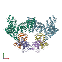 PDB entry 8r1g coloured by chain, front view.