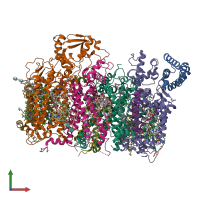 PDB entry 8r2i coloured by chain, front view.
