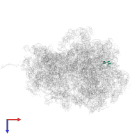 Large ribosomal subunit protein bL32 in PDB entry 8r55, assembly 1, top view.