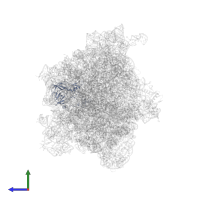 Large ribosomal subunit protein uL2 in PDB entry 8r55, assembly 1, side view.