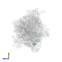 Large ribosomal subunit protein bL27 in PDB entry 8r55, assembly 1, side view.