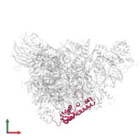 Putative ribosomal protein S18 in PDB entry 8r57, assembly 1, front view.