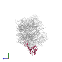 Putative ribosomal protein S18 in PDB entry 8r57, assembly 1, side view.