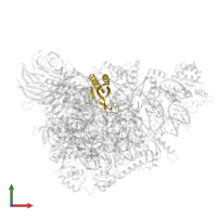 Small ribosomal subunit protein uS10 domain-containing protein in PDB entry 8r57, assembly 1, front view.