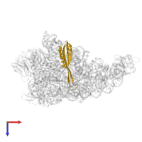 Small ribosomal subunit protein uS10 domain-containing protein in PDB entry 8r57, assembly 1, top view.