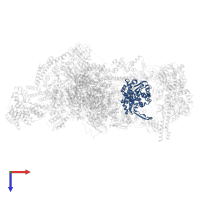 PAP6 in PDB entry 8r5o, assembly 1, top view.