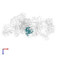 PAP11 in PDB entry 8r5o, assembly 1, top view.