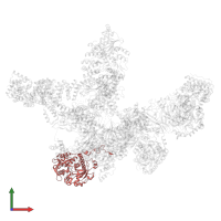 FLN2 in PDB entry 8r5o, assembly 1, front view.