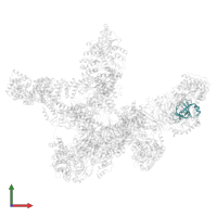 PTAC18 in PDB entry 8r5o, assembly 1, front view.