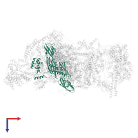 DNA-directed RNA polymerase subunit alpha in PDB entry 8r5o, assembly 1, top view.