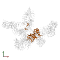 DNA-directed RNA polymerase subunit beta in PDB entry 8r5o, assembly 1, front view.