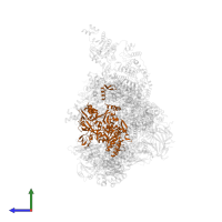 DNA-directed RNA polymerase subunit beta in PDB entry 8r5o, assembly 1, side view.