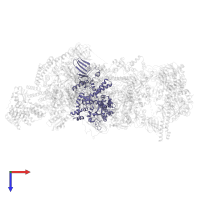 DNA-directed RNA polymerase subunit beta' in PDB entry 8r5o, assembly 1, top view.