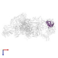 PAP4 in PDB entry 8r5o, assembly 1, top view.