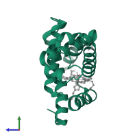 Myoglobin in PDB entry 8r8y, assembly 1, side view.