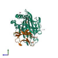 PDB entry 8rbu coloured by chain, side view.