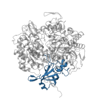 The deposited structure of PDB entry 8rc9 contains 1 copy of Pfam domain PF01568 (Molydopterin dinucleotide binding domain) in 4Fe-4S Mo/W bis-MGD-type domain-containing protein. Showing 1 copy in chain A.