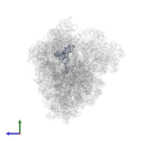 tRNA-Ala (A/P-site) in PDB entry 8rcs, assembly 1, side view.