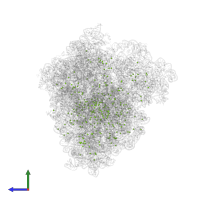 MAGNESIUM ION in PDB entry 8rcs, assembly 1, side view.