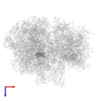 Large ribosomal subunit protein uL18 in PDB entry 8rdw, assembly 1, top view.