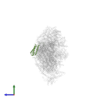 NADH dehydrogenase [ubiquinone] 1 alpha subcomplex subunit 5 in PDB entry 8rgq, assembly 1, side view.