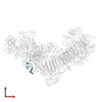 NADH dehydrogenase [ubiquinone] 1 alpha subcomplex subunit 12 in PDB entry 8rgq, assembly 1, front view.
