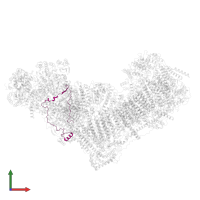 NADH dehydrogenase [ubiquinone] 1 alpha subcomplex subunit 7 in PDB entry 8rgq, assembly 1, front view.