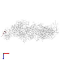 NADH dehydrogenase [ubiquinone] flavoprotein 3, mitochondrial in PDB entry 8rgq, assembly 1, top view.