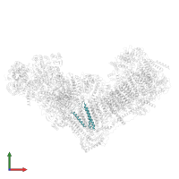 NADH-ubiquinone oxidoreductase chain 3 in PDB entry 8rgq, assembly 1, front view.